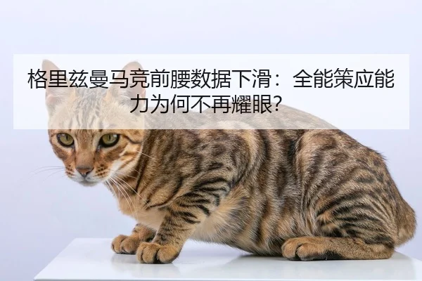 ge-li-zi-man-ma-jing-qian-yao-shu-ju-xia-hua-quan-neng-ce-ying-neng-li-wei-he-bu-zai-yao-yan-2-944.jpg