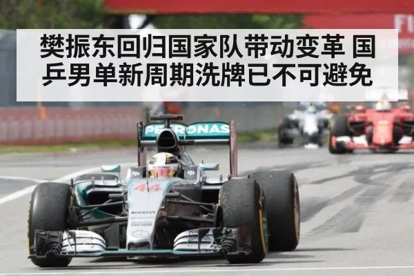 樊振东回归国家队带动变革 国乒男单新周期洗牌已不可避免