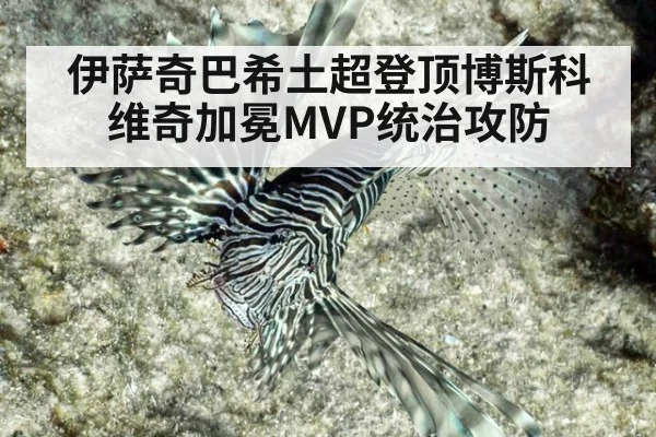 伊萨奇巴希土超登顶博斯科维奇加冕MVP统治攻防